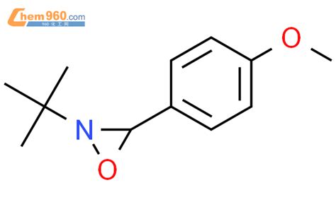 Oxaziridine Dimethylethyl Methoxyphenyl R