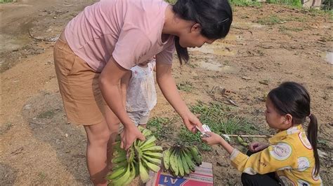 The Poor Girl Harvested Bananas And Brought Them To The Market To Sell