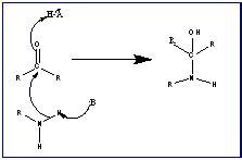 First Step Of Schiff Base Mechanism Reaction In This Step The