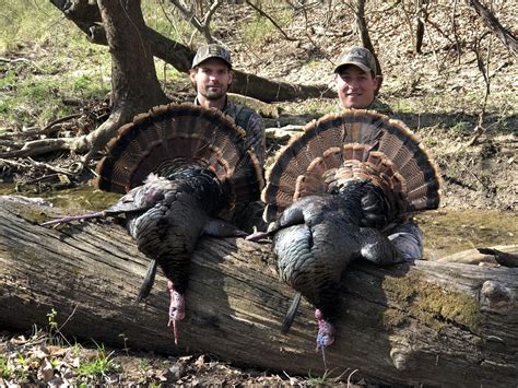 Turkey Hunting - Mid-America Hunting Association