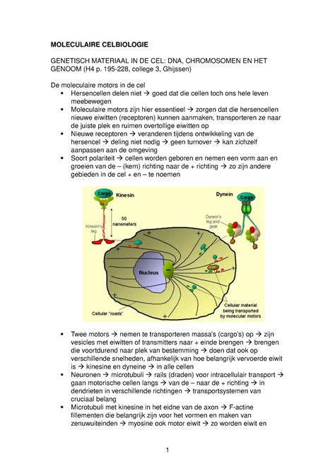 College Aantekeningen Celbiologie Moleculaire Celbiologie Genetisch