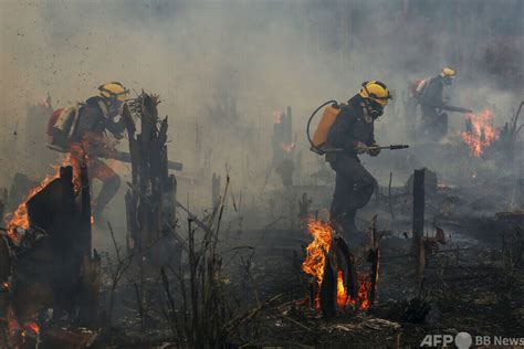 ブラジル火災面積ボルソナロ政権末期に急増 11月は90増 写真2枚 国際ニュースAFPBB News