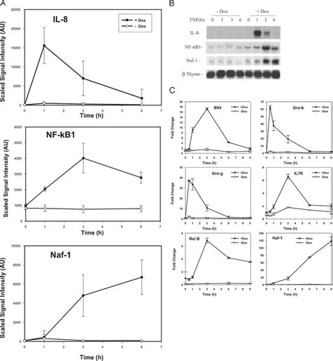 Validation Of Selected Nf B Dependent Genes A The Mean And S D Of