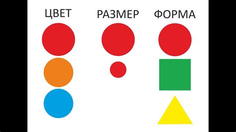 Цвет Форма Величина Картинки — Nyafoto.ru