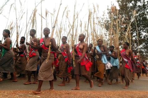 Cérémonie de la danse des roseaux 60 000 Swazies dénudées devant le