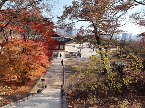 11 Best Places to Visit in Winter in Korea (and 3 New Year's Sunrise ...