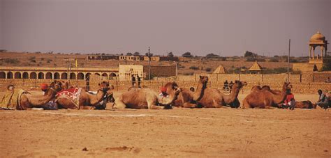 Heritage Tours & Trips - Heritage India