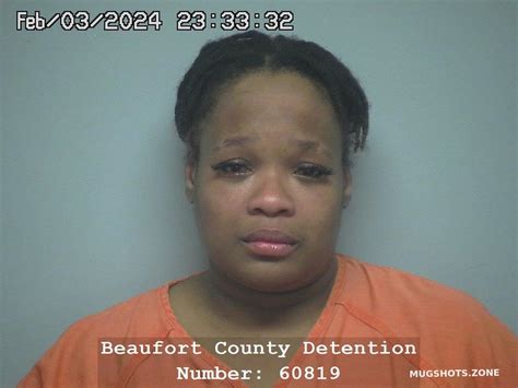 Ashley Nicole Washington 02032024 Beaufort County Mugshots Zone