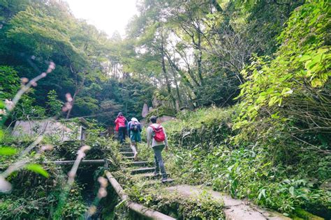 Kyoto Hour Fushimi Inari Shrine Hidden Hiking Tour