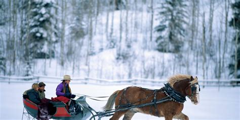 Uber's offering a free reindeer sleigh ride. Here's how to book it ...