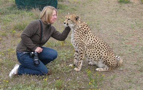 Humans' Defenseless Nature: Still, Why Don't Wild Animals Attack Us ...