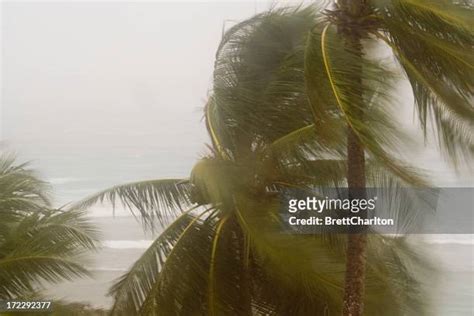 4,202 Gale Force Winds Stock Photos, High-Res Pictures, and Images ...