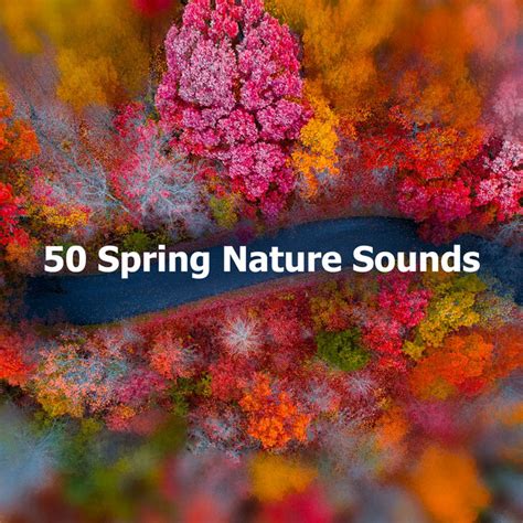 50 Spring Nature Sounds Album By Nature Sounds Backgrounds Spotify