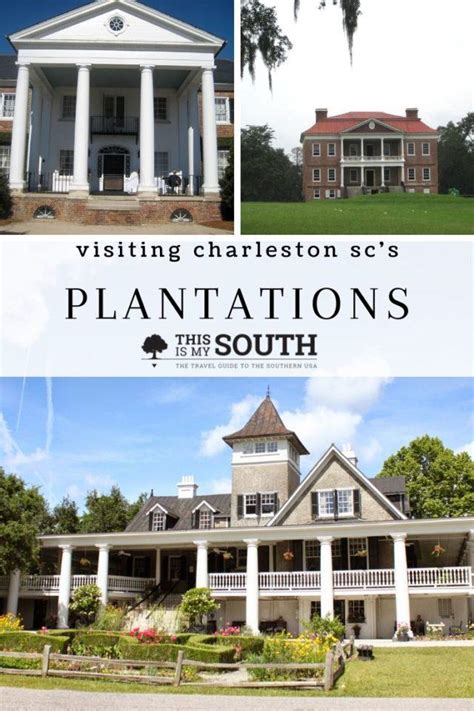 The Ultimate Guide to Visiting Charleston Plantations