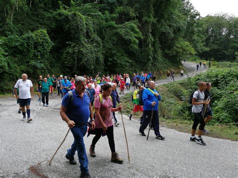 Dialetto Conflentese Sulle Orme Dei Padri Da Lamezia A Conflenti