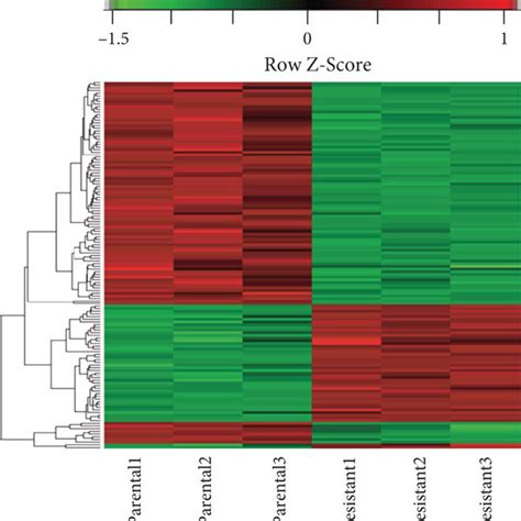 Heat Map Showing Differentially Expressed Genes Degs And Genes Download Scientific Diagram