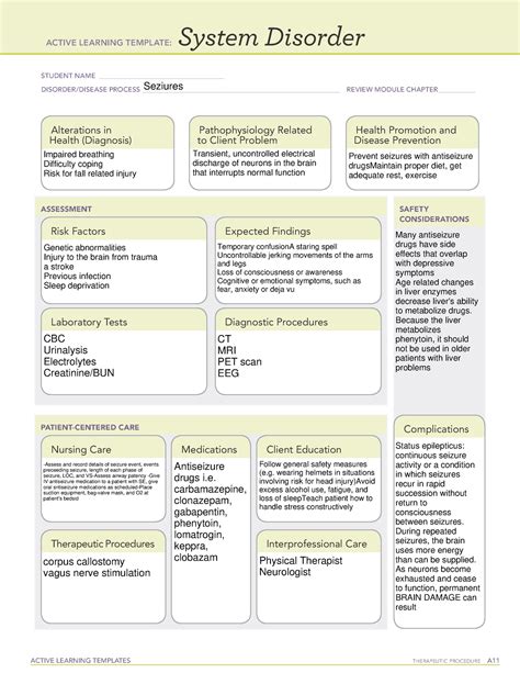 Ati System Disorder Template Seizures Includes An Example Nursing