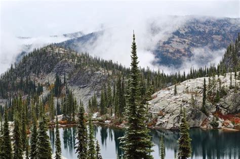 Premium Photo Panoramic View Of Lake And Trees In Forest