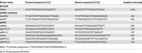 Primers used for RT-PCR, dsRNA synthesis and qRT-PCR. | Download Table