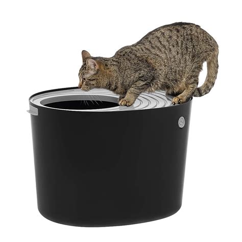 9 Best Top Entry Litter Boxes