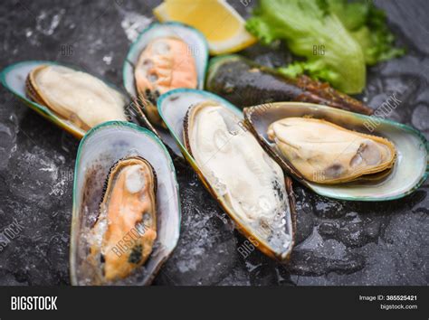 Seafood Shellfish Image Photo Free Trial Bigstock