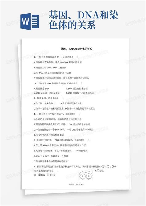 基因、dna和染色体的关系word模板下载 编号qnnxpypm 熊猫办公