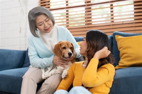 Mujer mayor asiática y mujer joven jugando con su perro beagle en la