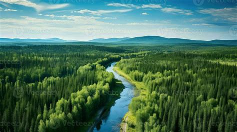 Forest Russian Taiga Clearings Ai Generated 29109382 Stock Photo At