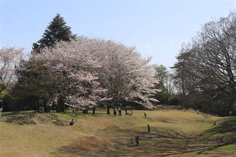 ロケ地一覧／千葉県佐倉市公式ウェブサイト