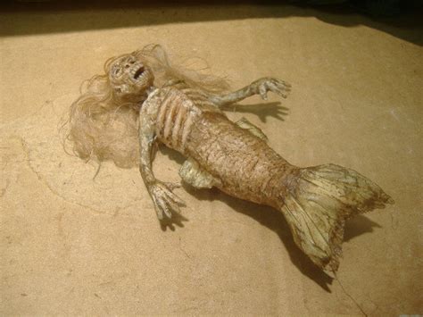 Feejee Fiji Mermaid Sideshow Gaff Freak Etsy