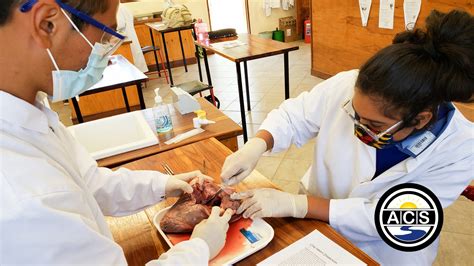 Dissecting A Cows Heart Amano Christian School