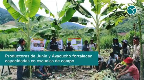 Productores Fortalecen Capacidades En Escuelas Inforegi N