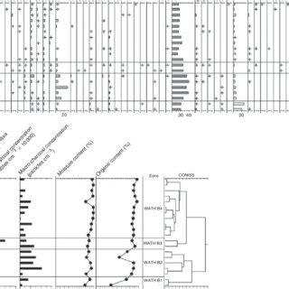 (PDF) Patterned fen formation and development from the Great Sandy Region, south-east Queensland ...