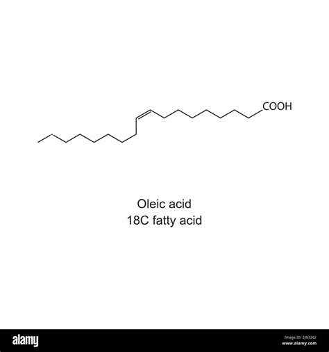 Oleic Acid Carbon Fatty Acid Chemical Structure On White