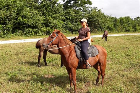 Horse Back Riding - Chabil Maya Adventures