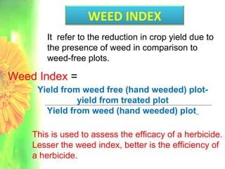 Weed Indices Ppt Lodha Ppt