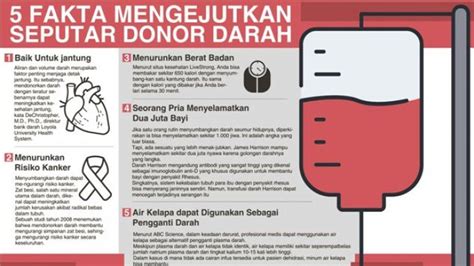 Punya Manfaat Sehat Lima Fakta Seputar Donor Darah Ini Perlu Anda