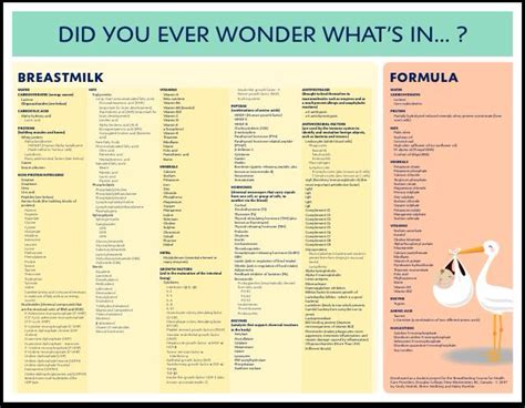 Whats In Breastmilk Vs Formula