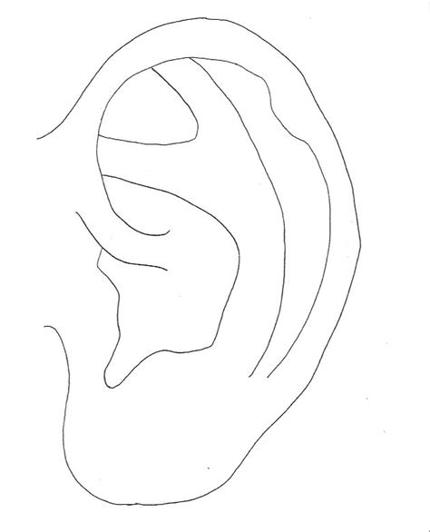 Auricular Points Indications Diagram Quizlet