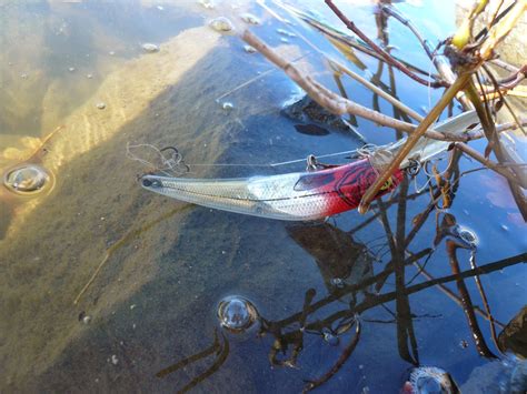 Countryman: Foraging California's Wild Side: Crawdad Traps from ...