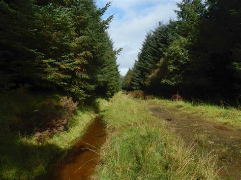 Forestry Track © Lairich Rig Geograph Britain And Ireland