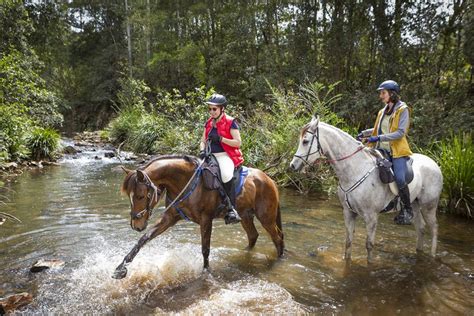 Tour D Weekend Horse Riding Getaway Kerewong Based Tour Southern