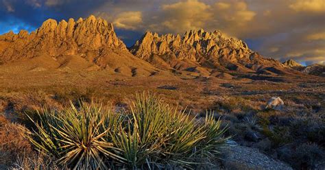 Best Camping in and Near Organ Mountains-Desert Peaks National Monument