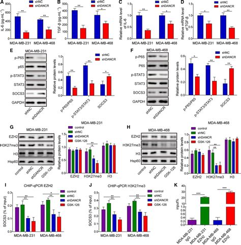 DANCR Critically Controlled Inflammation And Targeted SOCS3 Expression