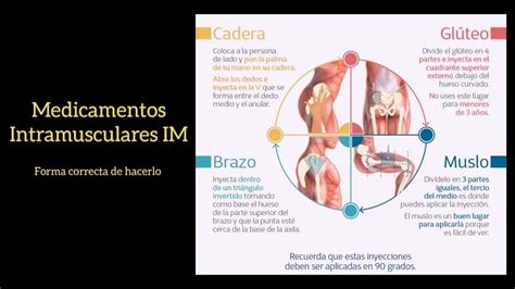 Administraci N De Medicamentos Intramusculares A Deltoides Muslo