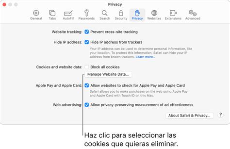 Borrar Las Cookies En Safari En El Mac Soporte T Cnico De Apple Es