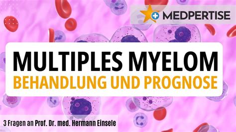 Multiples Myelom Behandlung Und Prognose Fragen An Prof Dr Med