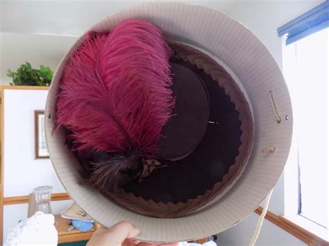 How To Choose Ostrich Feathers Out Of A Portrait