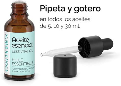 Guía paso a paso para hacer hidrolato de santolina con alambique