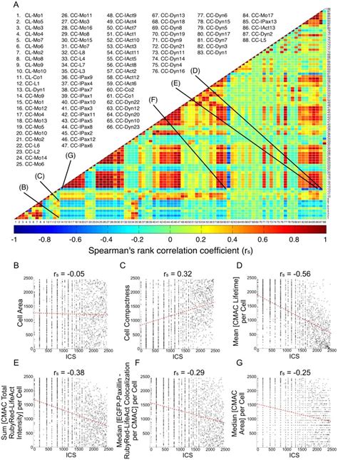 A A Heat Map Of Spearmans Rank Correlation Coefficients Rs